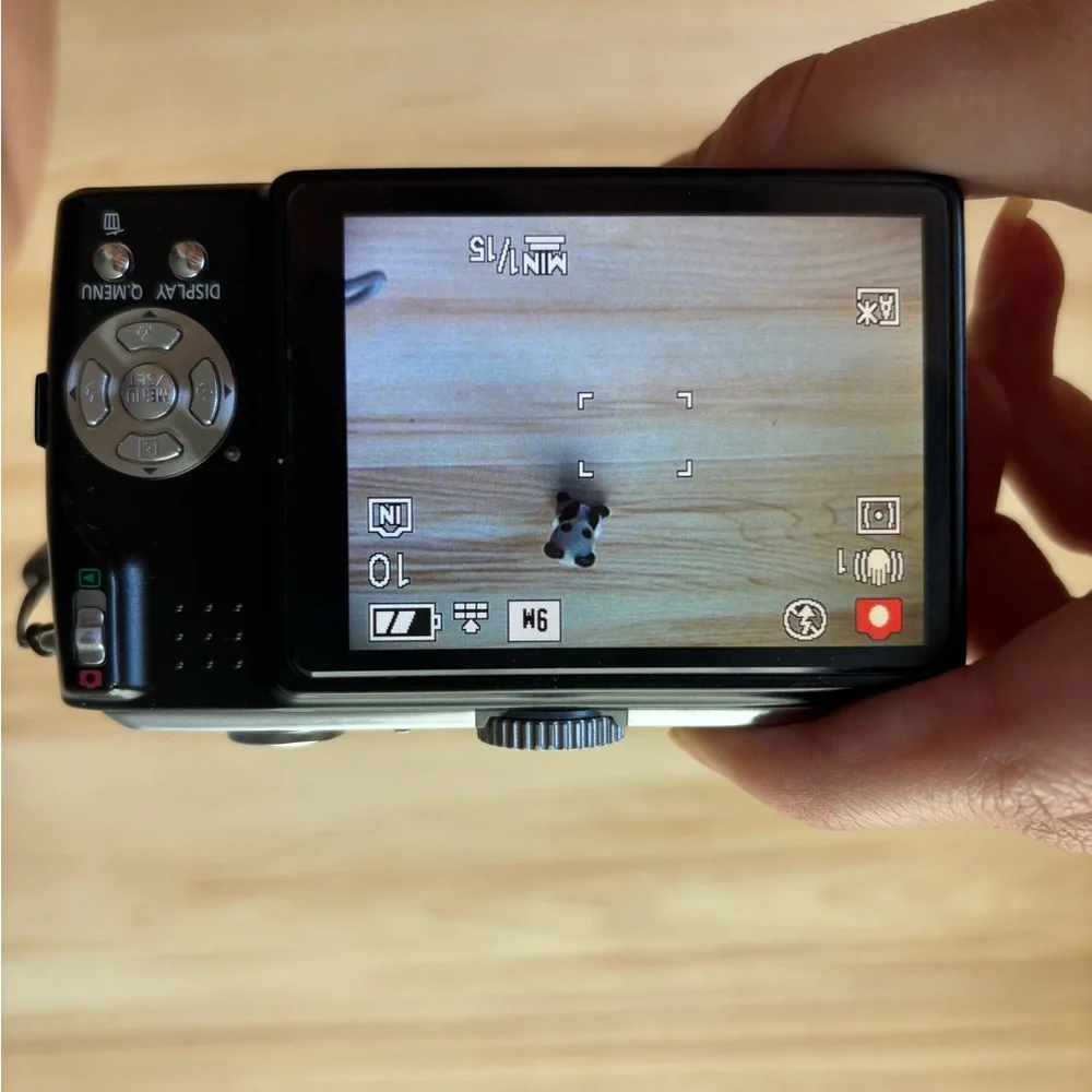 Panasonic Lumix Silver and Black Camera